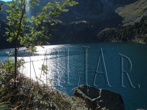 Fotos menos valoradas » Foto de ailime - Galería: animales y paisajes - Fotografía: 	Al solito							