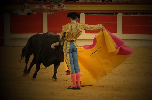 Fotos menos valoradas » Foto de Valentn - Galería: Tauromaquia - Fotografía: 		Alejandro Talava