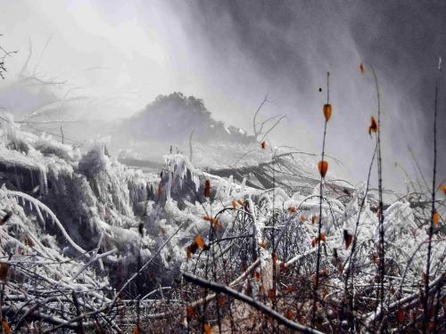 Fotos mas valoradas » Foto de copernic - Galería: Frio y niebla - Fotografía: Frio y niebla