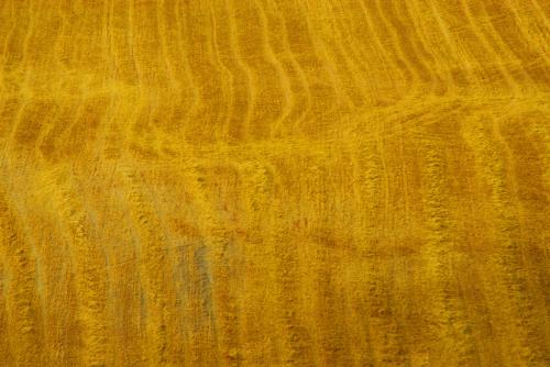 Fotografías mas votadas » Autor: Federico Lojo - Galería: Misceslnea - Fotografía: Campos de....