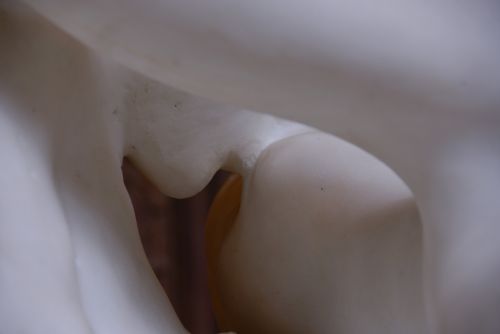 Fotos mas valoradas » Foto de Federico Lojo - Galería: Misceslnea - Fotografía: 