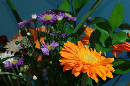 Fotos menos valoradas &raquo; Foto de CMoreno Photography - Galer&iacute;a: Plantas y Flores - Fotograf&iacute;a: 