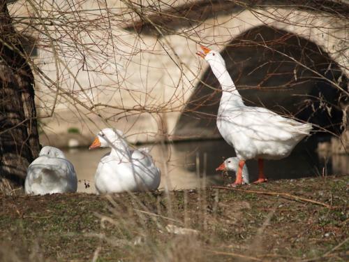 Fotos menos valoradas » Foto de Marco Antonio Pereira Fernandes - Galería: Ellos y ellas son todo - Fotografía: Oca