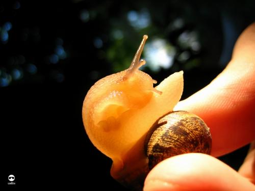 Fotos menos valoradas » Foto de AAC Sinfilm - Galería: Sinfilm - Fotografía: Caracol