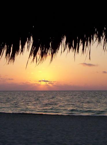 Fotos mas valoradas » Foto de Charo Guijarro Izquierdo - Galería: CAPRICHOS DEL SOL - Fotografía: Cubriendose del pr