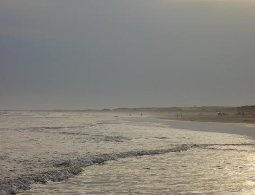 Fotos menos valoradas » Foto de  - Galería: OTRO VERANO INCREIBLE EN NECOCHEA - Fotografía: ATARDECER DE PLATA