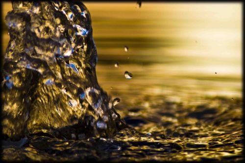 Fotos menos valoradas » Foto de E. J   Photographer - Galería: Naturalmente - Fotografía: 