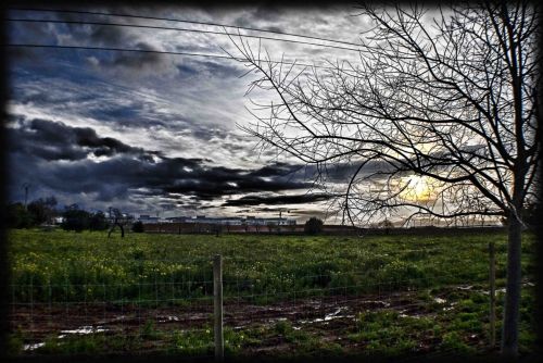 Fotos menos valoradas » Foto de E. J   Photographer - Galería: Naturalmente - Fotografía: 