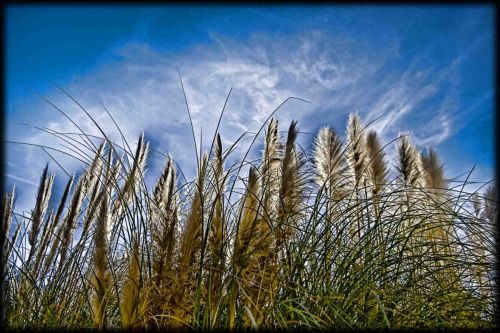 Fotos mas valoradas &raquo; Foto de E. J   Photographer - Galer&iacute;a: Naturalmente - Fotograf&iacute;a: 