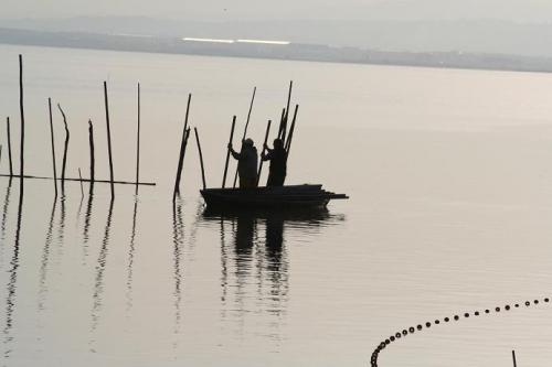 Fotos menos valoradas » Foto de Maireles - Galería: naturaleza en vivo - Fotografía: la Albufera Valenc