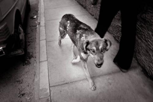 Fotos menos valoradas » Foto de pelu vidal - Galería: Bolivia B/N - Fotografía: 