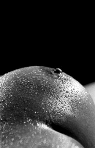 Fotos menos valoradas » Foto de Roman - Galería: B & N - Fotografía: 