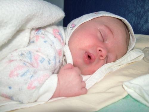 Fotografías mas votadas » Autor: Nina Saroz - Galería: nina - Fotografía: fragil