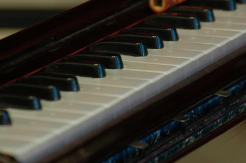 Fotos mas valoradas » Foto de Lizard - Galería: Msica tnica - Fotografía: 