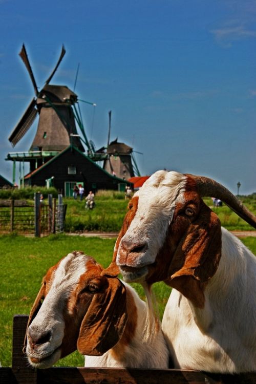 Fotografías menos votadas » Autor: Santiago - Galería: Paisaje/Naturaleza - Fotografía: 