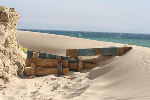 Fotos mas valoradas » Foto de Paco - Galería: Estreno - Fotografía: Punta Paloma