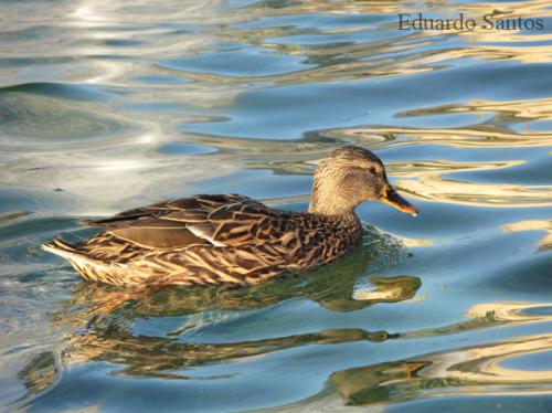 Fotos mas valoradas » Foto de eduard - Galería: sensaciones 2 - Fotografía: reflexos de llum