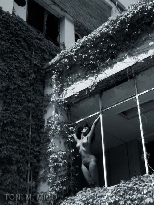 Fotografías menos votadas » Autor: FOTOESPAI B.C.I. - Galería: NUS - Fotografía: 