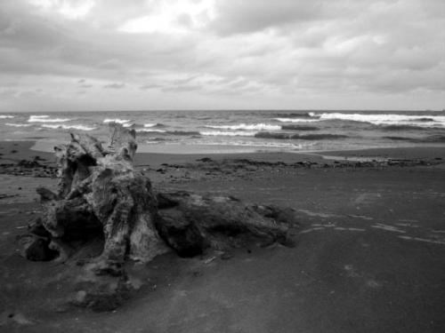 Fotos menos valoradas » Foto de KS Desings - Galería: Pensamientos Vagos - Fotografía: Inerte