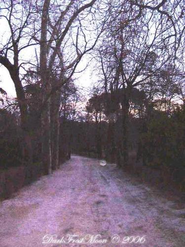 Fotos menos valoradas » Foto de Thulcandra - Galería: Enero 2006 - Fotografía: The Path