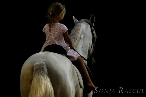 Fotos mas valoradas » Foto de Sonja Rasche - Galería: Caballos - Fotografía: Pasear