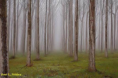 Fotos mas valoradas » Foto de vagabu - Galería: Diversidad en la naturaleza. - Fotografía: 