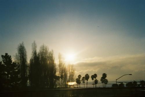 Fotos menos valoradas » Foto de MAra - Galería: san francisco - Fotografía: 