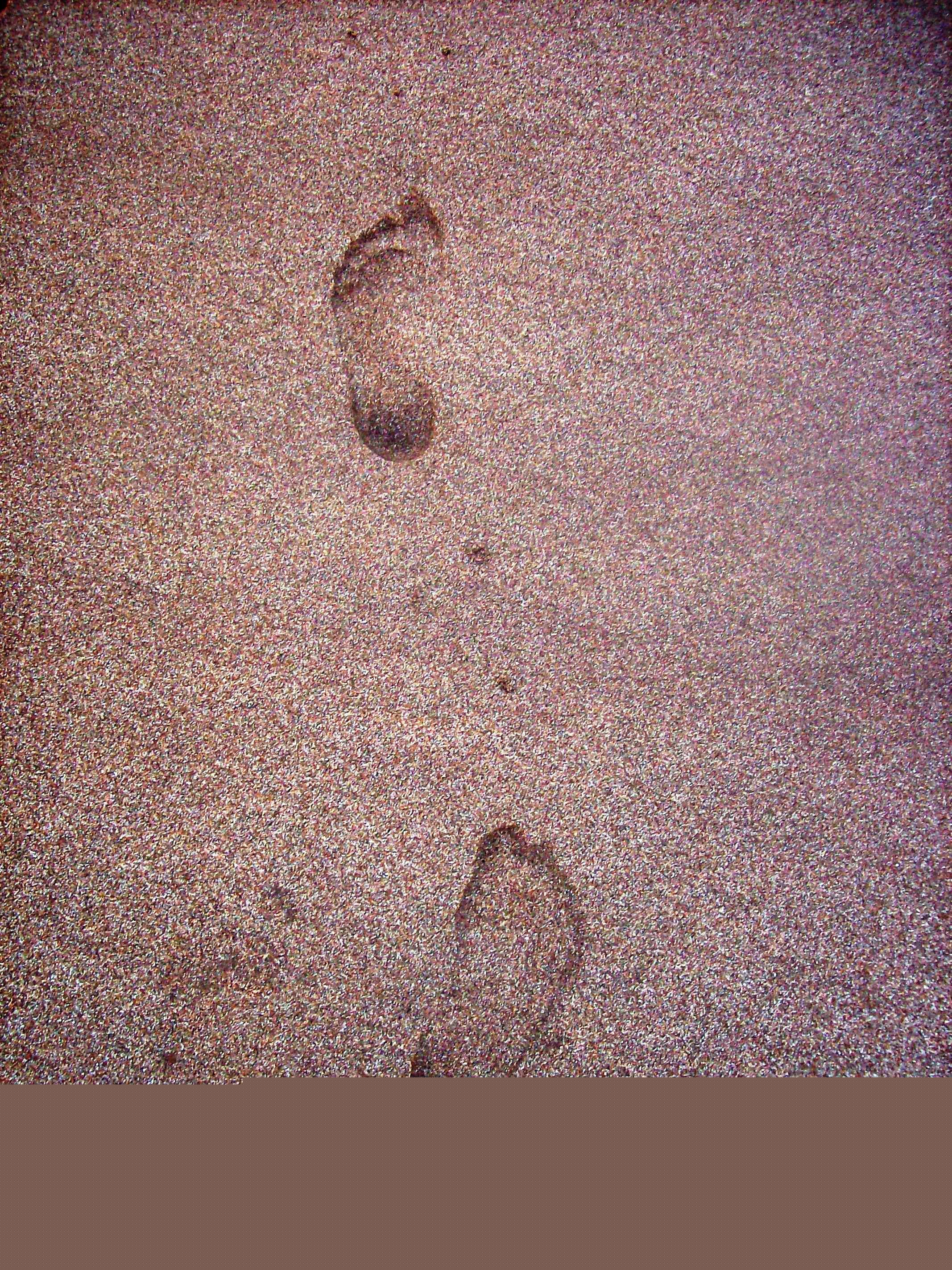 Fotos menos valoradas » Foto de Devotchka - Galería: Paisajes y ms - Fotografía: Villa Gesell, Buen