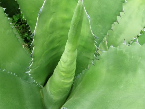 Fotos menos valoradas &raquo; Foto de Montse Baiges - Galer&iacute;a: Detalles - Fotograf&iacute;a: Interiores