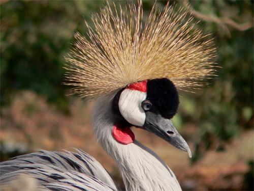 Fotos menos valoradas » Foto de alg - Galería: Naturaleza 3 - Fotografía: GRULLA