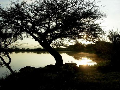 Fotos mas valoradas » Foto de OscarCalderon - Galería: El monte - Fotografía: Amanecer