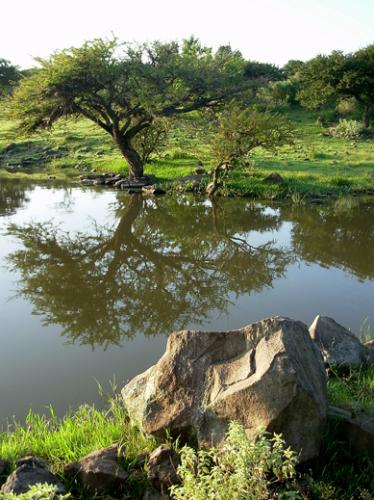 Fotos mas valoradas » Foto de OscarCalderon - Galería: El monte - Fotografía: Reflejos