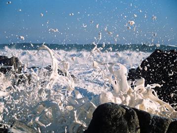 Fotos mas valoradas » Foto de Pablo Suau - Galería: Misojos - Fotografía: Mar Nerudiano