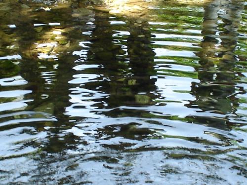 Fotos menos valoradas » Foto de Tanya - Galería: mensajes ocultos - Fotografía: incognita