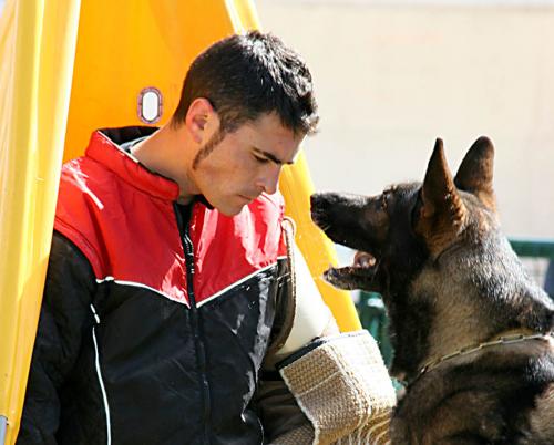 Fotos menos valoradas » Foto de ILLADOPE - Galería: DEPORTE CANINO - Fotografía: FIGURANTE