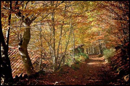Fotos menos valoradas » Foto de Jos Mara - Galería: El tunel del tiempo - Fotografía: El tunel del tiemp