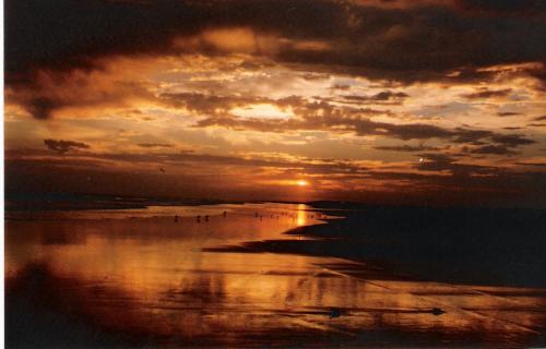 Fotos menos valoradas &raquo; Foto de ruidos - Galer&iacute;a: claromeco - Fotograf&iacute;a: otra tarde