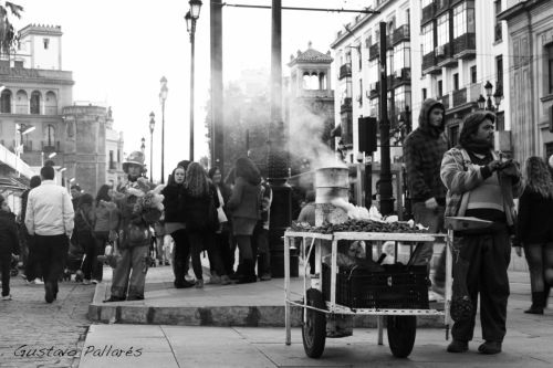 Fotos menos valoradas » Foto de FOTO es HOBBY - Galería: Blanco y nego - Fotografía: Carro de castaas