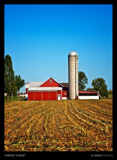 Fotografías menos votadas » Autor: SOMATUSCANI - Galería: USA - Fotografía: 