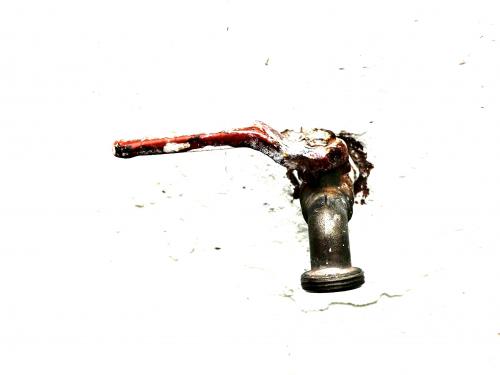 Fotografías mas votadas » Autor: Buscador de Imagenes - Galería: Buscador de imagenes 2 - Fotografía: Cao