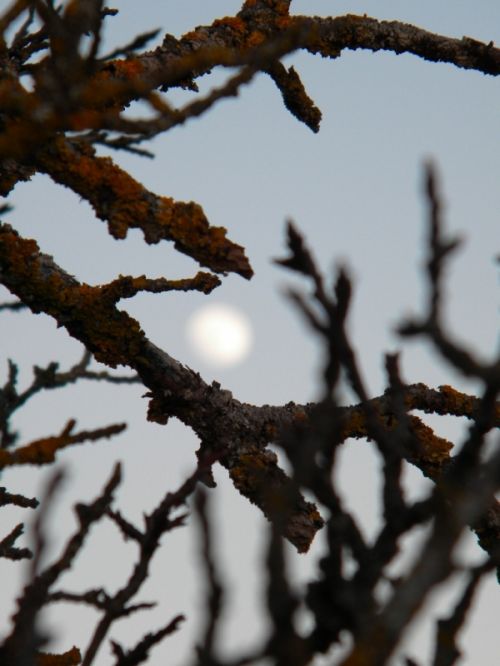 Fotografías menos votadas » Autor: Elia Lpez - Galería: Lugares, etc - Fotografía: 