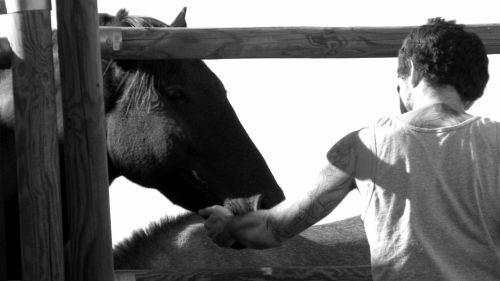 Fotografías menos votadas » Autor: Elia Lpez - Galería: Lugares, etc II - Fotografía: De la Tierra 2012