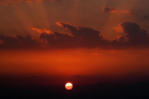 Fotografías mas votadas » Autor: Llibert Teixid - Galería: Regin de Goa - India - Fotografía: Atardecer en Anjun