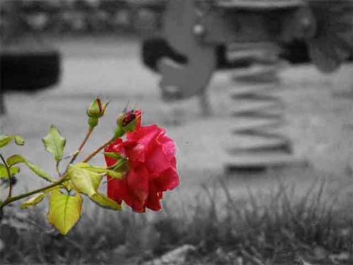 Fotos menos valoradas » Foto de Joseanxp - Galería: Invierno sin color - Fotografía: Color