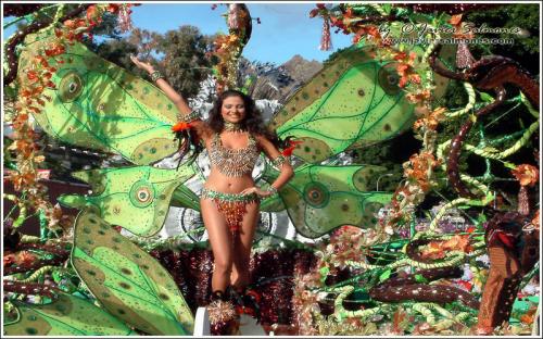 Fotografías mas votadas » Autor: Salmones, Javier  - Galería: 2005 CARNAVAL  (Tenerife) - Fotografía: Carnaval (Tenerife