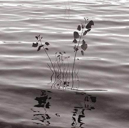 Fotografías mas votadas » Autor: Juan Carlos del Rio - Galería: Album de Instantes - Fotografía: foto 01