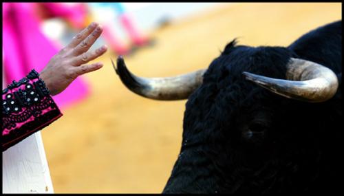 Fotograf&iacute;as mas votadas &raquo; Autor: Agustin Mu�oz Luna - Galer&iacute;a: Tarde de toros - Fotograf&iacute;a: Eh toro
