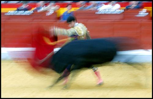 Fotos menos valoradas &raquo; Foto de Agustin Mu�oz Luna - Galer&iacute;a: Tarde de toros - Fotograf&iacute;a: y otro mas