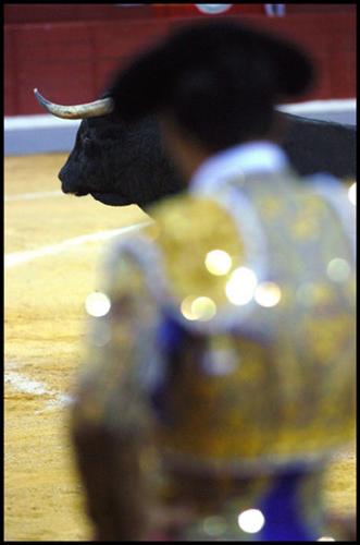Fotograf&iacute;as mas votadas &raquo; Autor: Agustin Mu�oz Luna - Galer&iacute;a: Tarde de toros - Fotograf&iacute;a: Al quite
