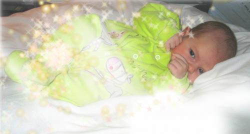 Fotos menos valoradas » Foto de Lola - Galería: NIO - Fotografía: BEB